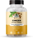 Amazing Botanicals Ginger Root Extract Tabletten 200 mg - 10% Gingerols, 20 mg per tablet, 30 tabletten