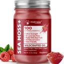 WELLNESS LABSRX Irish Sea Moss Gel Raw - Wildcrafted Superfood Seamoss Gel - Raspberry Flavor, Vitamin and Mineral-Rich from Pristine Caribbean Waters, Immune and Digestive Health Support - 10 oz.
