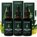 Betterbrand Mullein Lung Detox Drops (3-Pack), 60ml Mullein Leaf Tinctuur met Chlorofyl voor Respiratory Health Support - Alcoholvrije - 3 maand levering