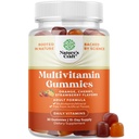 Krachtige dagelijkse multivitamine Gummies voor volwassenen - Wellness Blend van vitamine D A C E B12 Zink en Biotine - Volwassen vitamine Gummy voor energie en immuniteit - Non-GMO Glutenvrij en Halal Gummies 30 Tel.