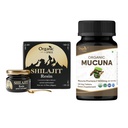 SPREE ORGANIQUE Supplément de résine de Shilajit de l'Himalaya – 20g et 120 comprimés – 85+ Résine d'acide fulvic minéral de trace et Mucuna Pruriens organiques USDA