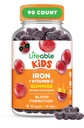 IJzer supplementen voor kinderen 10mg met vitamine C Geweldige proeverij Iron Gummies voor kinderen 