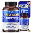 Sotalix Sea Moss Capsule avec Ashwagandha, Burdock Root, Bladderwrack, Turmeric - Powerful Natural Immunity Booster - USA Made (150 Compte (paquet de 1))