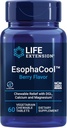 Prolongation de vie EsophaCool - Suppléments de santé de Gut avec le calcium, le magnésium et l'extrait de racine de réglisse DGL pour une digestion saine Soulagement de l'estomac et équilibre PH - Sans gluten, végétarien - 60 comprimés à croquer