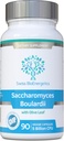 Saccharomyces Boulardii 5 Miljard CFU 90 Capsules - Geen koeling vereist - Niet-koloniserend Gist op hoge sterkte met synergistisch Olive Leaf, Biotine en Vitamine D3