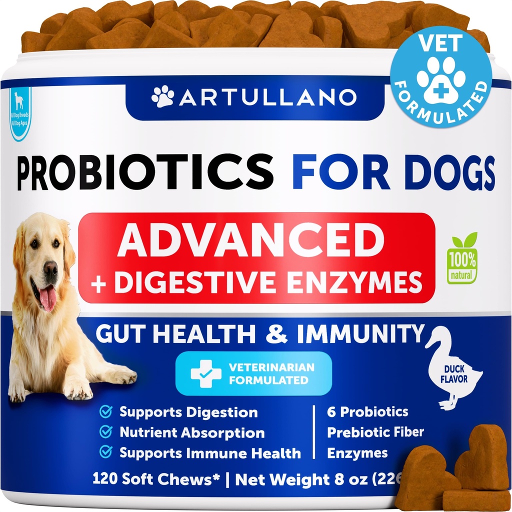 Probiotica voor honden - Ondersteuning Gut Health, Itchy Skin, Allergieën, Immuniteit, Gist Balance - Hondenprobiotica en spijsverteringsenzymen met Prebiotica - Reduce Diarree, Gas - 120 Probiotische Kauwen voor Honden