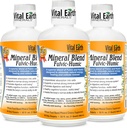 Vital Earth Minerals Fulvic Humic Mineral Blend Liquid 3-pack 