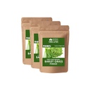 Blessfull Healing Organic Barley Grass Powder 100% Pure Natural 100 Gram (3.52 oz) Each (Pack of 3) = 300 Grams, Vegan