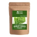 Blessfull Healing Organic 100% Pure Natural Barley Grass Powder | 100 Gram / 3.52 oz