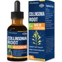 Collinsonia (Stone Root) gouttes pour la santé du trac urinaire, supplément de formule à base de plantes naturelles avec/Stone Breaker Chanca Piedra Extract Support Pierres rénales Dissolver & Detox Cleanse. 2oz
