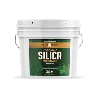 Gemicroniseerd vulkanisch silica- 10 lbs