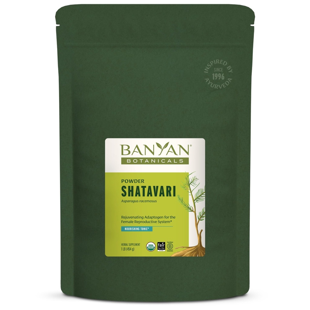 Banyan Botanicals Shatavari Poudre – Asperges organiques Racemosus Poudre de racine – Tonique adaptogène rajeunissant qui soutient un système de reproduction sain* – 1 lb – Vegan non-OGM source durable