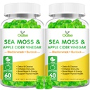 Sea Moss Gummies - 1800mg Irish Sea Moss + 1200mg Bladderwrack + 240mg Burdock Root + 240mg Apple Cider Vinegar - Supports Immune & Digestion Health [60 Count (Pack of 2)]