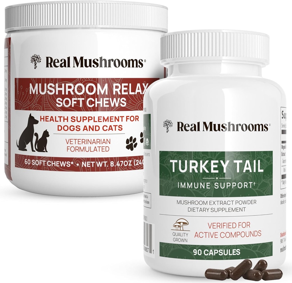Echte Paddestoelen Turkije staart voor mensen (90ct) & Paddestoelen Dieren Relax Kauwen (60 Kauwen) - Bundel voor Immuniteit & Relaxatie - Veganistisch, niet-GMO, Glutenvrije, Grain-Free Paddestoelen Extract Supplementen