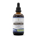 Secrets de la tribu Spiruline Extrait liquide sans alcool, Spiruline (Arthrospira Platensis) Supplément de teinture (4 FL OZ)