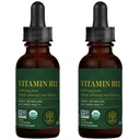 Global Healing Center - Vitamine B12 5000 mcg, Organische Sublingual Liquid Drops 