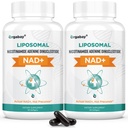 Orgabay NAD liposomique + Supplément 500 mg, Absorption élevée, Boost NAD+ avec TMG 250 mg, Réel NAD Plus plus plus efficace que le riboside de Nicotinamide, Soutien énergie cellulaire, Vieillissement en santé