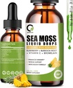 Sea Moss Drops 2000mg, Irish Sea Moss Supplement ondersteunt Immuniteit, met Zwarte Vlierbes, Burdock Root, Bromelain, Vitamine C & Zink, 2 Fl.Oz, Ananas smaak