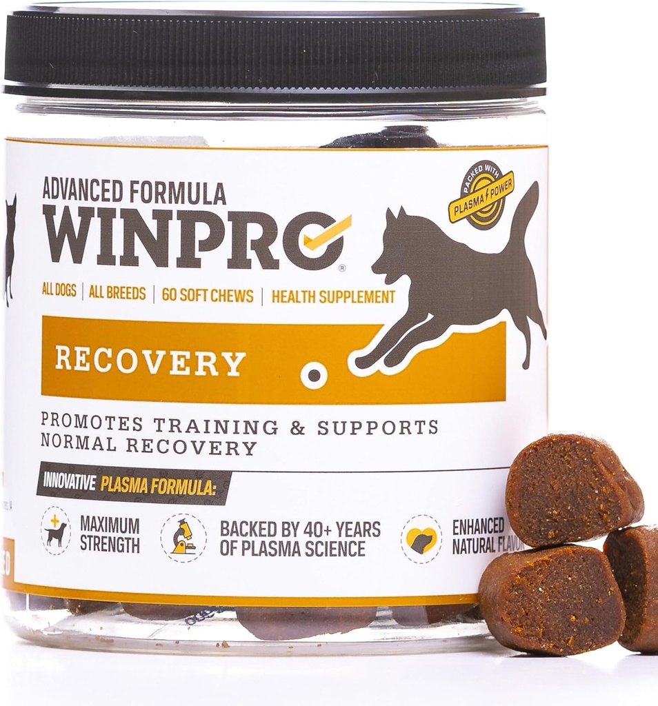 WINPRO Recovery Kauwen voor honden, Plasma-aangedreven voor actieve honden, Immune System Support, en hondentraining Ondersteuning voor de concurrentie en sport spierherstel en wendbaarheid, 60 Telling, Made in USA