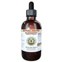 Hawaii Pharm Barberry Alcohol-Free Liquid Extract, Barberry (Berberis Vulgaris) Dried Root Bark Glycerite Natural Herbal Supplement 4 oz