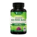 Sea Moss Complex 1600mg - Thyroid Immunity Skin Support