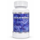 Enhancer de cellules souches Celulas Madres
