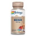 SOLARAY Mushroom Reishi 600mg - Capsules de champignons Reishi pour le soutien immunitaire - Vegan, Lab Vérifié - Garantie de remboursement de 60 jours - 100 portions, 100 VegCaps