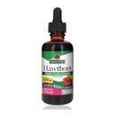 Nature's Answer Organic Hawthorn Extract 2 Oz - Faible teneur en alcool, sans gluten et sans casher - Heart Support - Idéal pour le thé de berry Hawthorn