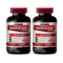 creatine alphaketoglutarate - Creatine Tri Phase - Increases Muscle Mass, Creatine Monohydrate unflavored, creatine monohydrate Pills, Muscle Recovery Supplements, Creatine Pill 2 Bottles 180 Tablets