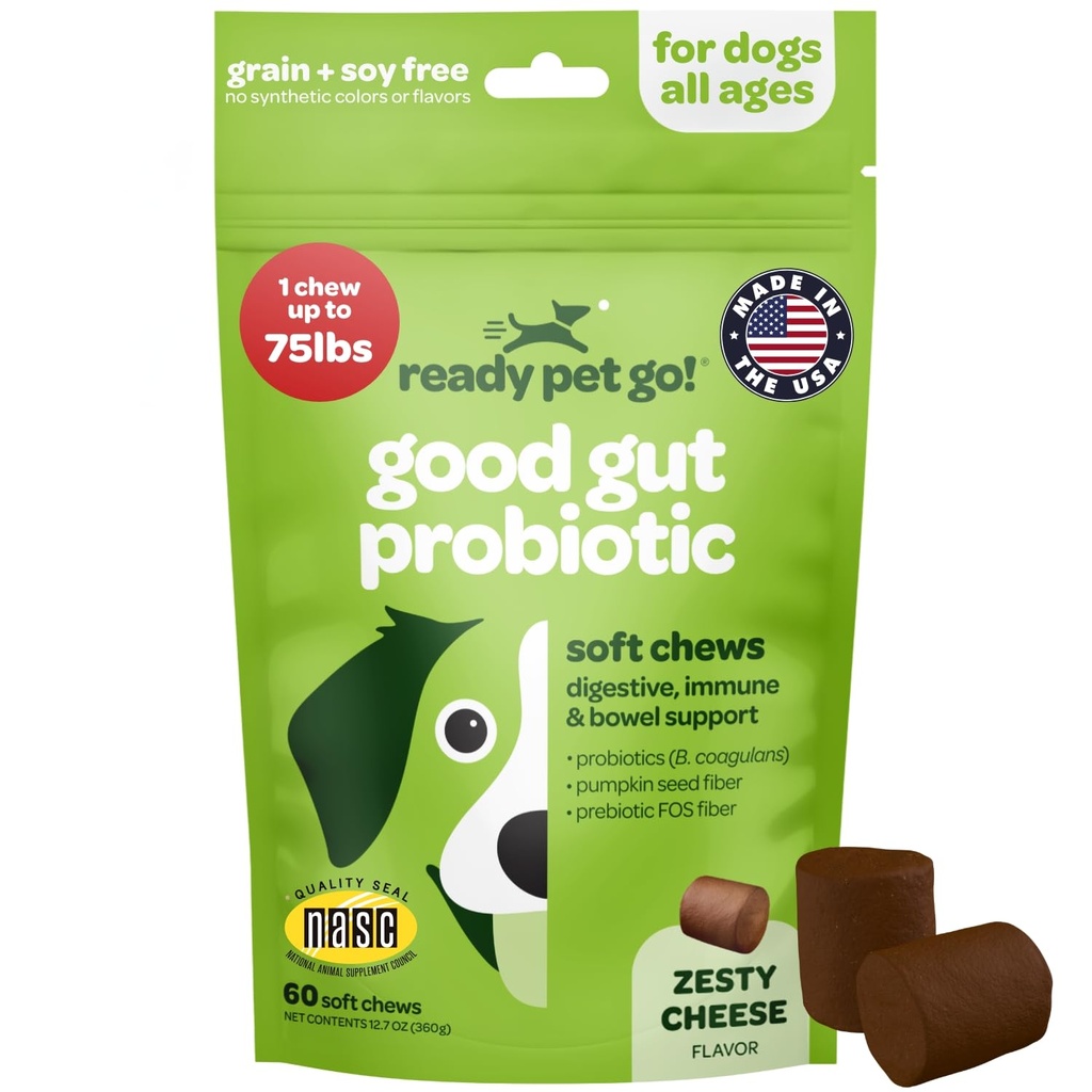 Probiotische Kauwen voor Honden Gut Health 