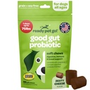 Probiotische Kauwen voor Honden Gut Health 