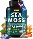 Complexe de capsules de mousse de mer avec mousse de mer, huile de graines noires, Aşhwagandha, Ginger & Vitamines C, D3-120 Capsules, suppléments super-alimentaires - Pilules de mousse de mer, pilules de la mer sauvage, fabriqués aux États-Unis