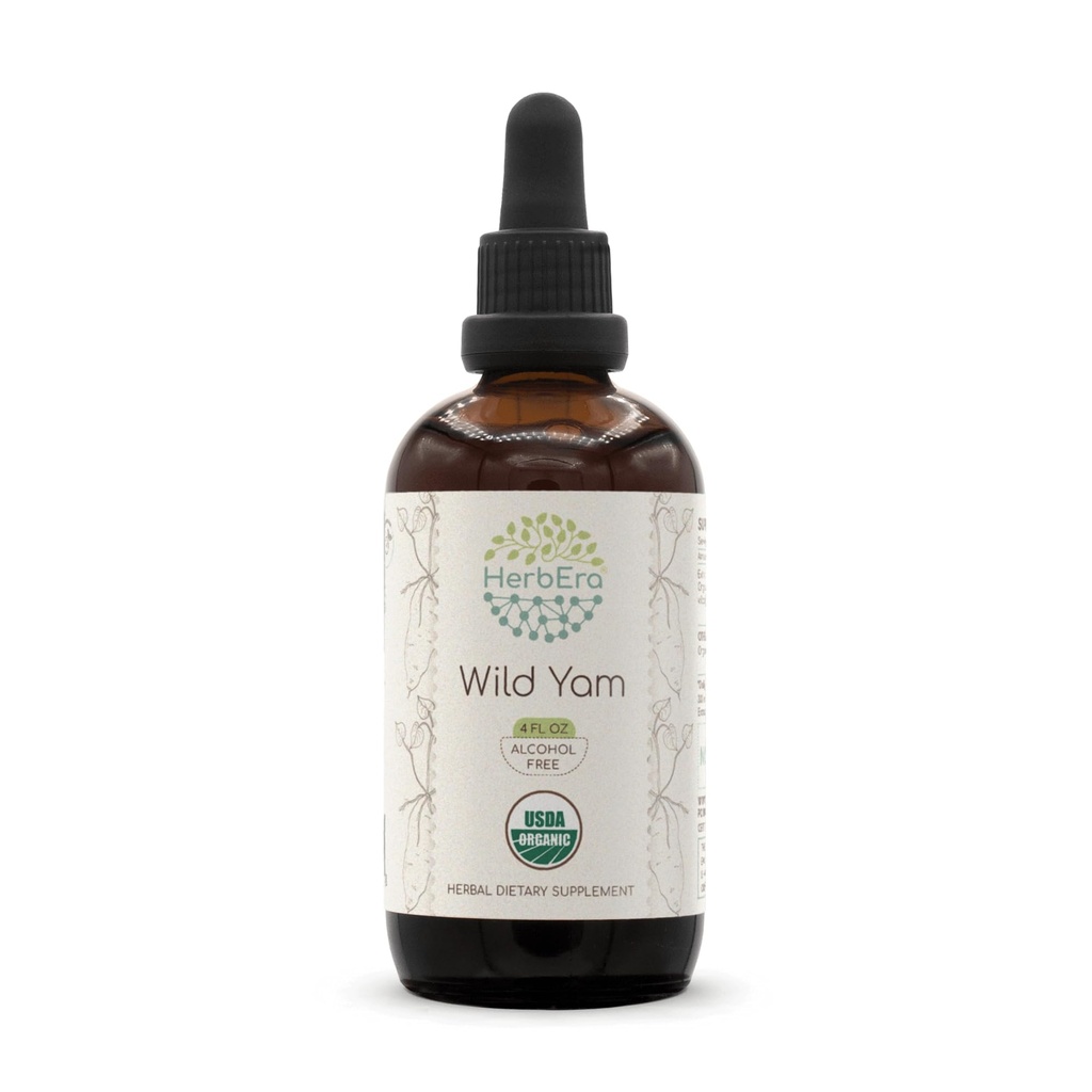 HerbEra Wild Yam B120 USDA Organic Alcohol-Free Herbal Extract Tincture, Concentrated Liquid Drops Natural Wild Yam (Dioscorea Villosa) Dried Root 4 fl oz