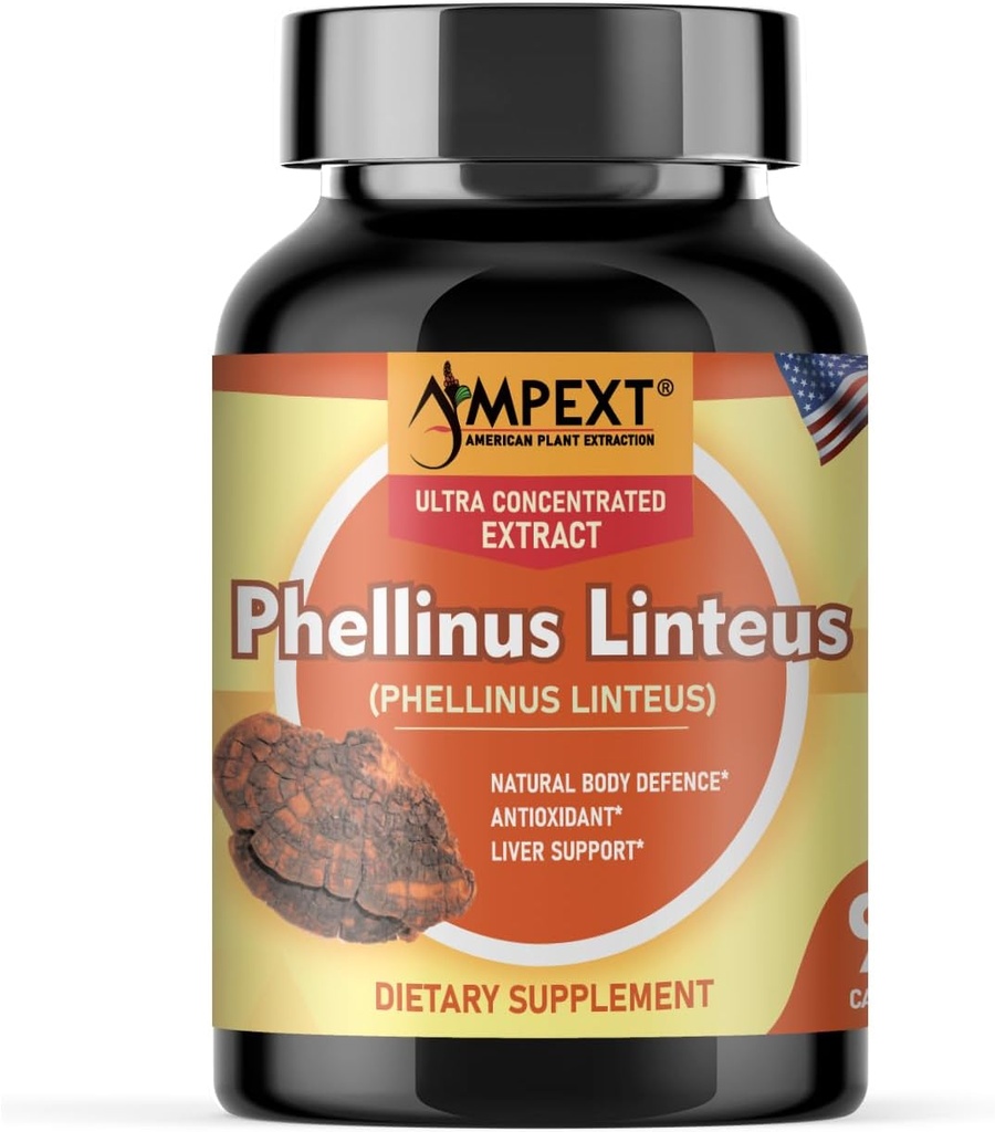 Extrait de champignons Phellinus linteus - Qualité premium, seulement corps fruitiers, antioxydant, amplificateur d'immunité, soutien du foie, 90 capsules de légumes.
