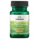 Swanson L. Plantarum - Digestief supplement ter bevordering van de gastro-intestinale balans en de regelmatigheid van de darm - Natuurlijke formule om opgeblazen gevoel te verminderen - (30 Veggie Capsules)
