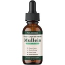 Pulmoria Wild Mullein Drops, Herbal Blend with Cordyceps, Bromelain, Ginger & Lemon Peel, Supports Seasonal Comfort & Clean Breathing – Vegan, Non-GMO, 2 Fl Oz (1)