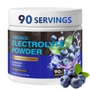 Sugar Free Blueberry Electrolyte Powder Hydration Drink Mix Keto Friendly, Vegan, Non-GMO Fast Hydration with Potassium, Magnesium, Sodium Gluten Free, No Artificial Additives, 90 Servings