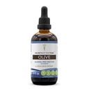 Secrets of the Tribe Olive Alcohol-Free Liquid Extract, Olive (Olea europaea) Dried Leaf (4 FL OZ)