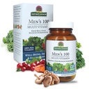 Nature's Answer Men's 100, Multivitamin, 60 Vegetarian Capsules
