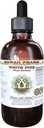 White Pine Alcohol-Free Liquid Extract, White Pine (Pinus Strobus) Gedroogde Bark Glycerite Natural Herbal Supplement, Hawaii Pharm, USA 4 fl.oz