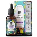 Lion's Mane Liquid Extract - Nootropic Brain Supplement for Memory & Focus - USDA Organic Lions Mane Mushroom - Sugar Free, Alcohol Free - USA Grown - 2 FL OZ (60 Servings, 2 Month Supply)