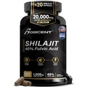 Shilajit Capsules 20.000mg 