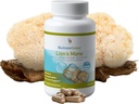 MushroomScience Lions Mane Mushroom Capsules, Geheugen & Concentratie Ondersteuning, Volledig Spectrum Extract, Paddestoel Supplement voor Volwassenen, Warmwater Extracted Paddestoelen, Vegetarisch, 300MG, 90 ct