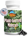 Fulvic Humic Mineral Blend of Trace Minerals, Electrolytes, Gut Health, Fonction cognitive, Hydratation et Soutien immunitaire, Pure Vitalité Formula for Wellness - 60 Capsules