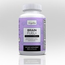 Hersenbrandstof + DMAE Blend Memory Supplement for Focus, Mood, Mental Energy for Busy Men & Women - 60 Capsules, Made in USA