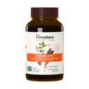 Himalaya StressCare Herbal Supplement, Ondersteunt Stress Relief, Energie Ondersteuning, Ontspanning, Af en toe Slapeloosheid, Ashwagandha, Heilige Basil/Tulsi, Gotu Kola, Niet-GMO, Vegetarisch, 240 Capsules