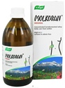 A.Vogel Molkosan All-Natural Concentrated Whey Rich in L+ Lactic Acid - Prebiotic Support for Healthy Gut Bacteria - Fat-Free, Sugar-Free, Gluten-Free, Lactose-Free, Vegetarian - 16.9 oz