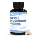 Reishi Mushroom Capsules, Vegan, Gluten Free, Non-GMO, 120 Capsules, 2 Month Supply