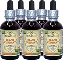 Zwarte bessen (Ribes nigrum) Tinctuur, gedroogde bladeren Liquid Extract (Brand Naam: HerbalTerra, Trots Made in USA) 5x2 f.oz (5x60 ml)