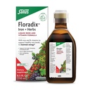 Floradix Iron & Herbs - Liquid Herbal Supplement for Energy Support - Iron Supplement with Vitamin C & Vitamin B Complex - for Men & Women - 8.5 floz